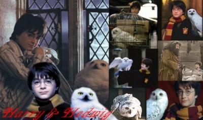 image harry02_nov-14-2001-jpg